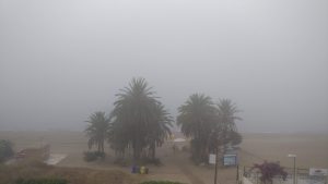 Sea fog in the morning